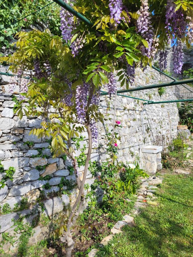 La Bouganvilla Porto Venere Dış mekan fotoğraf