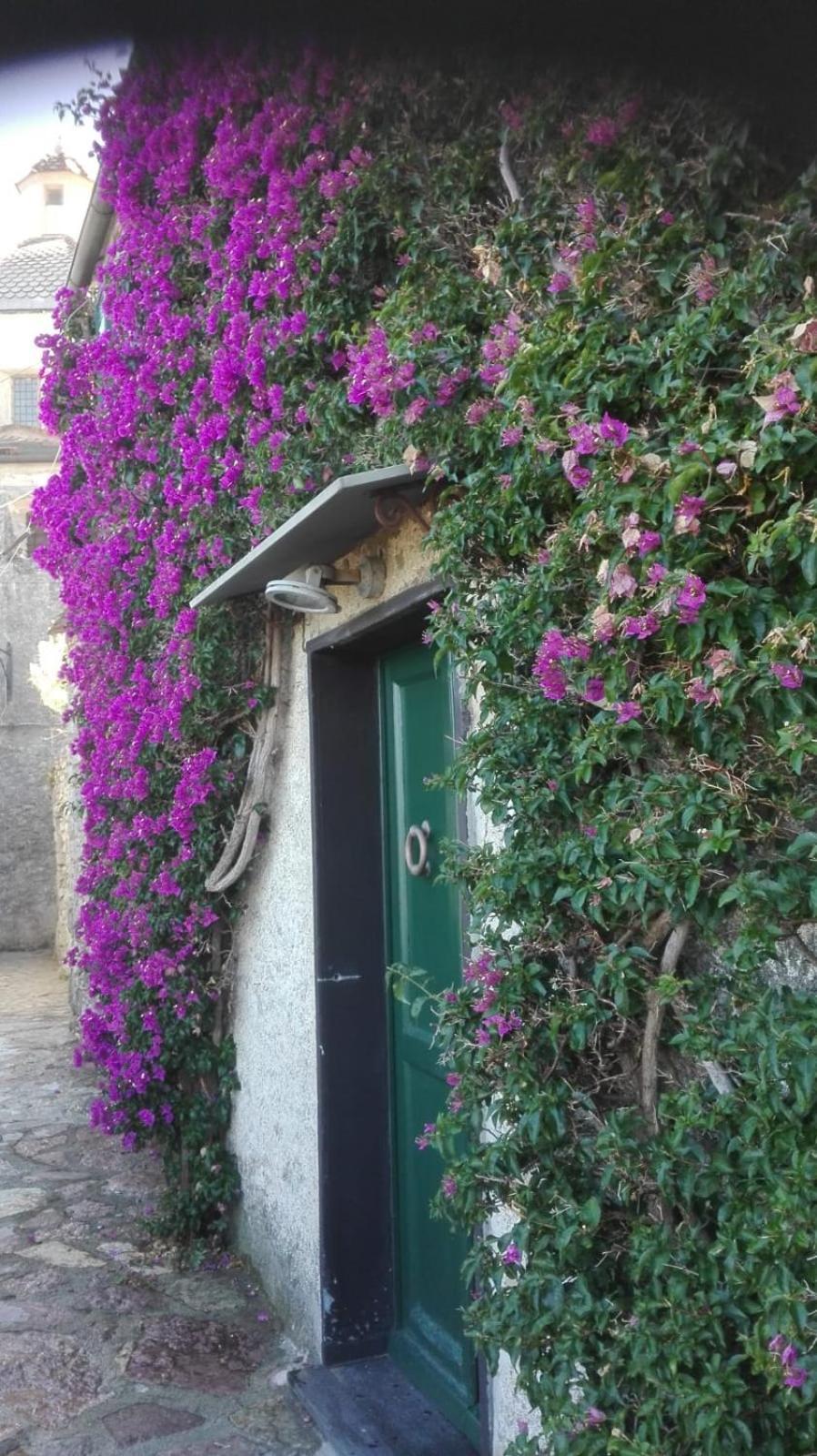 La Bouganvilla Porto Venere Dış mekan fotoğraf